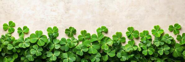 Banner with green clover leaves on stone background. St.Patrick's Day with copy space for text photo