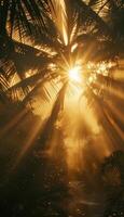 Sunburst Through Tropical Palms at Dawn for Tranquil Beach Travel Advertisements photo