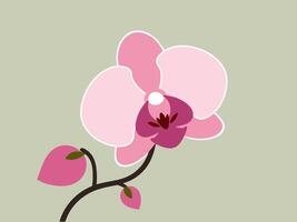 A stylized pink orchid with a bud and leaf, set against a muted background vector