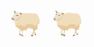 Two pixel sheep with light wool and simple features facing inward vector
