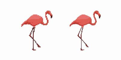 Pixel art flamingos walking side by side in minimalist style illustration vector