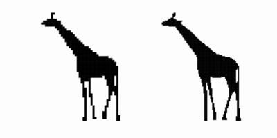 Silhouettes of two giraffes standing elegantly with long necks and slender legs in profile view vector