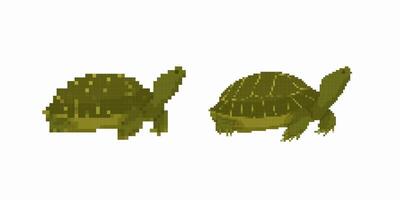 Pixel art style green turtles with detailed shells and simple block shapes vector