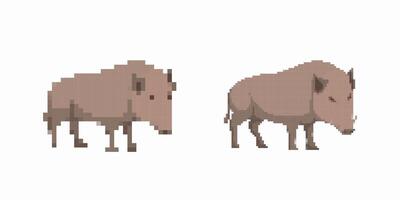 Pixel art wild boar duo in a simple and minimalist style and presentation vector