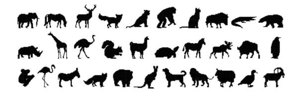 Silhouettes of various animals displaying a wide range of wildlife diversity in black contours vector