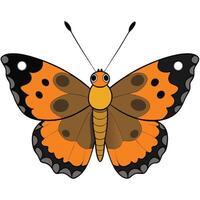 Elegant Butterfly Design vector