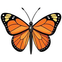 Butterfly Design for Website Graphics vector