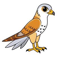A cartoon bird with a big beak and long legs vector