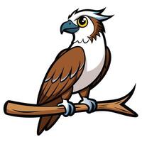 An osprey bird sitting on a branch vector