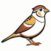 A bird with a brown and white head vector