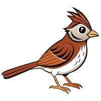 A cartoon bird with a long tail and a white beak vector