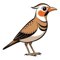 Bird Design for Commercial Use vector