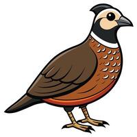 A cartoon pheasant standing on a white background vector