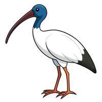 Bird Design for Print Materials vector