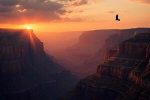 A bird flies over the grand canyon at sunset photo