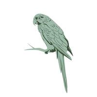 A parrot perched on a branch, rendered in a solid, muted green tone against a white background vector
