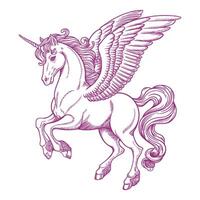 A detailed sketch of a winged unicorn, rendered in purple lines on a white background vector