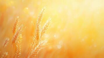 A close-up of golden wheat ears against a soft, warm background, evoking a serene atmosphere photo