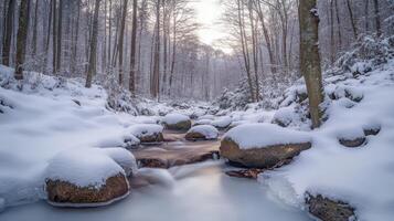 A serene winter landscape featuring a snow-covered stream and trees photo