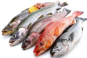 A variety of fresh fish arranged with a slice of lemon for culinary presentation photo