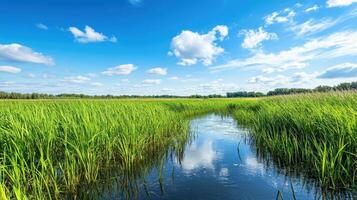 A serene landscape featuring a waterway surrounded by lush green grass and a blue sky photo