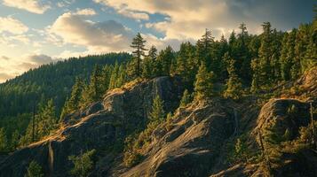 Serene landscape featuring rocky terrain and lush pine trees under a cloudy sky. photo