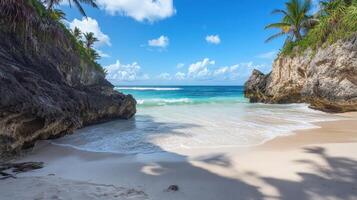 A serene beach scene with turquoise water, sandy shore, and lush palm trees photo