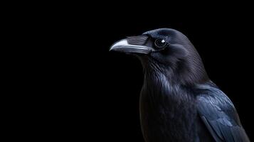 Close-up Raven Portrait Against Black Background photo