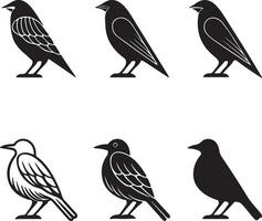 6 bird Different Style Set Silhouette vector