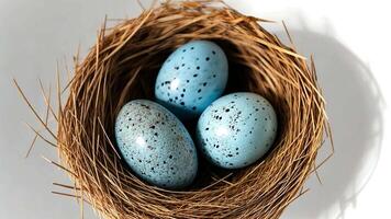 Three blue speckled eggs are nestled gently in a straw nest, illuminated by soft natural light on a clear surface, creating a tranquil and serene atmosphere. video