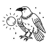 Illustrated raven with celestial elements, sun and stars mystical bird in black and white, symbolism concept vector