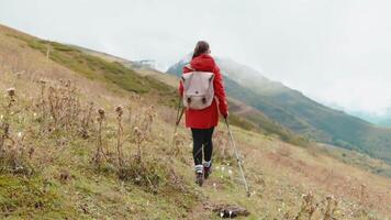 Back view of girl hiking in mountain walking along slope on path holding sticks. video