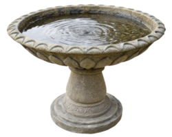Stone bird bath on a transparent background png