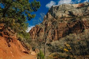 Zion National Park is an American national park located in southwestern Utah near the town of Springdale, photo