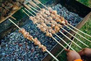 Barbecue Skewered Beef Kebabs On The Flaming Grill Close-up. photo