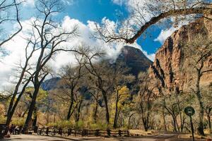 Zion National Park is an American national park located in southwestern Utah near the town of Springdale.. photo