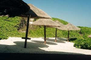 Thatched hut on a stretch of beach overlooking the Caribbean Sea. photo