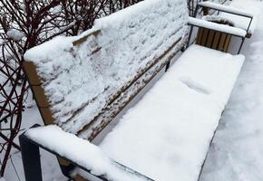 wooden bench covered with snow in the daytime photo