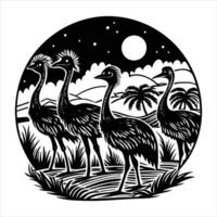 Unveiling the Cassowary vector