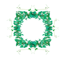 a green frame with leaves on it, green leaves frame, green ivy leaves frame on transparent background, Green Leaf Frame, green tree frame, a green plant on a transparent, png