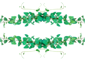 Green Ivy Frame, green floral frame, a green frame with leaves on it, green leaves frame, green ivy leaves frame on transparent background, Green Leaf Frame, green tree frame, png