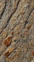 A finely detailed shot of polished granite, emphasizing its speckled mineral patterns. photo