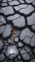 A close-up view of snowflakes gently melting on the uneven, gritty texture of asphalt. photo