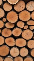 A macro photograph emphasizing the raw, organic details of chopped firewood. photo