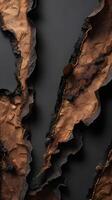 A zoomed-in view of paper edges scorched and falling apart. photo