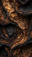 A high-definition shot of fragile, darkened burnt paper. photo