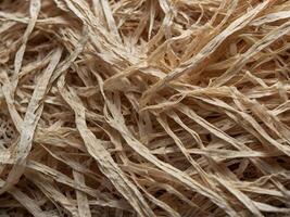 A zoomed-in image showing rough paper fibers along a tear. photo