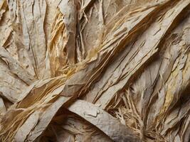 A close shot of rough, jagged fibers on ripped paper. photo
