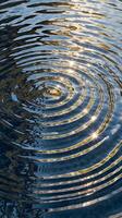 A high-resolution shot of gentle ripples on water, reflecting light in circles. photo
