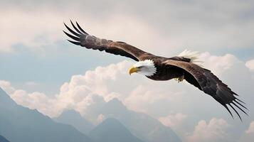 A stunning bald eagle gliding through a clouded sky, softened to leave space for Presidents Day messaging. photo